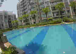 The Raintree (D21), Condominium #174890022